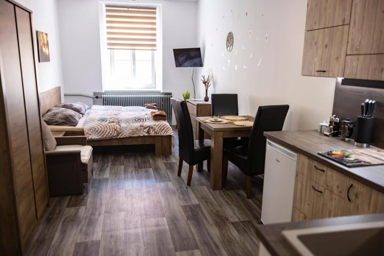 Apartmany Nezarka A Privatni Wellness 因德日赫城堡 外观 照片