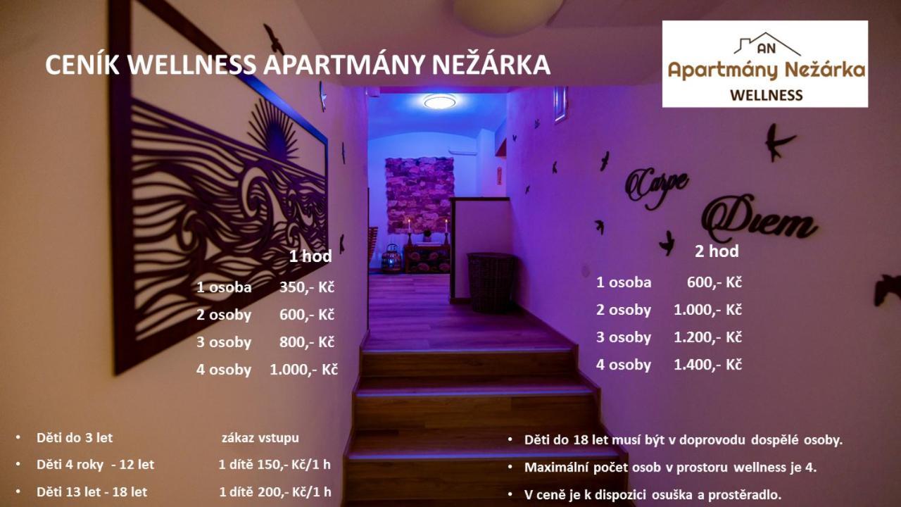 Apartmany Nezarka A Privatni Wellness 因德日赫城堡 外观 照片